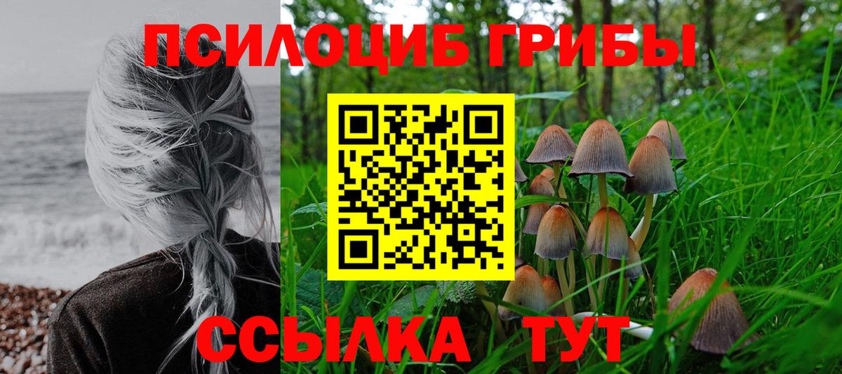 Галлюциногенные грибы MAGIC MUSHROOMS  Вход с VPN  Ачхой-Мартан 