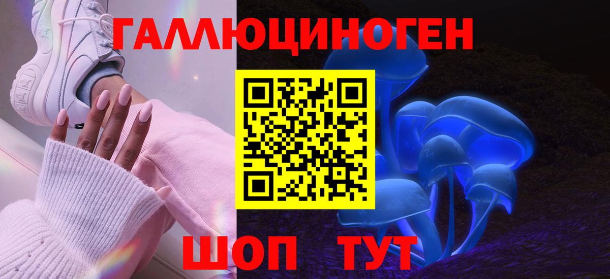 Галлюциногенные грибы Psilocybe Ачхой-Мартан